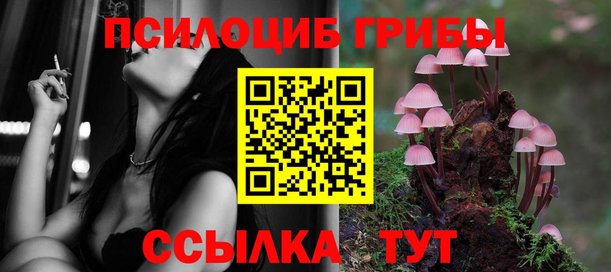 Псилоцибиновые грибы Magic Shrooms  Вход с VPN  закладки  Серов 